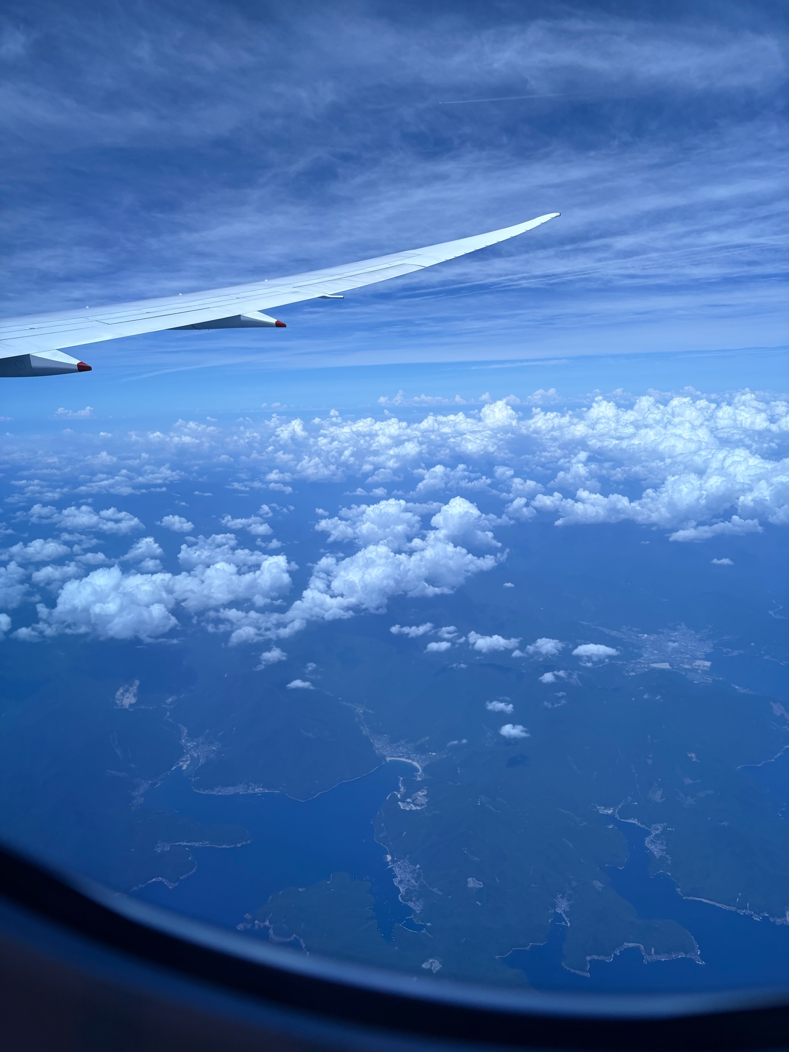 留学参加者募集中🛫