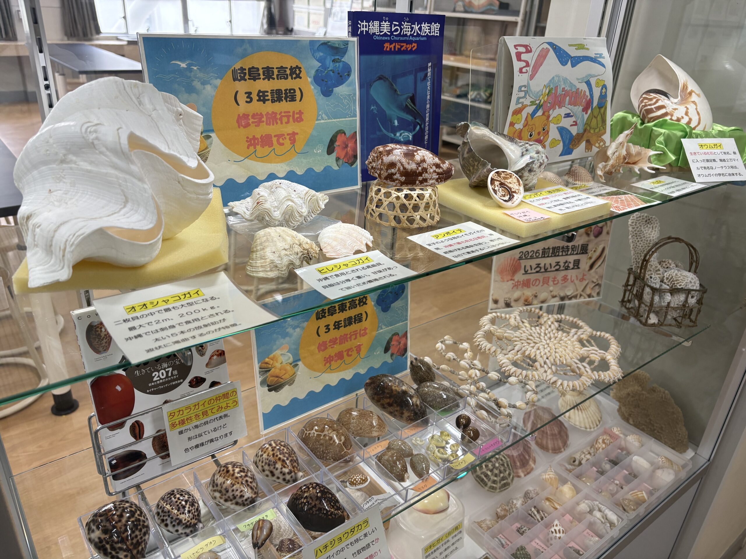 リニューアル☆サイエンスミュージアム